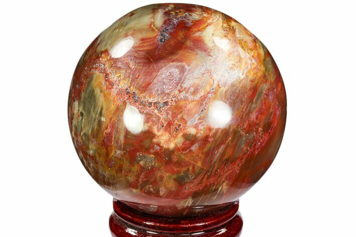 Colorful Petrified Wood Sphere - Madagascar #106983